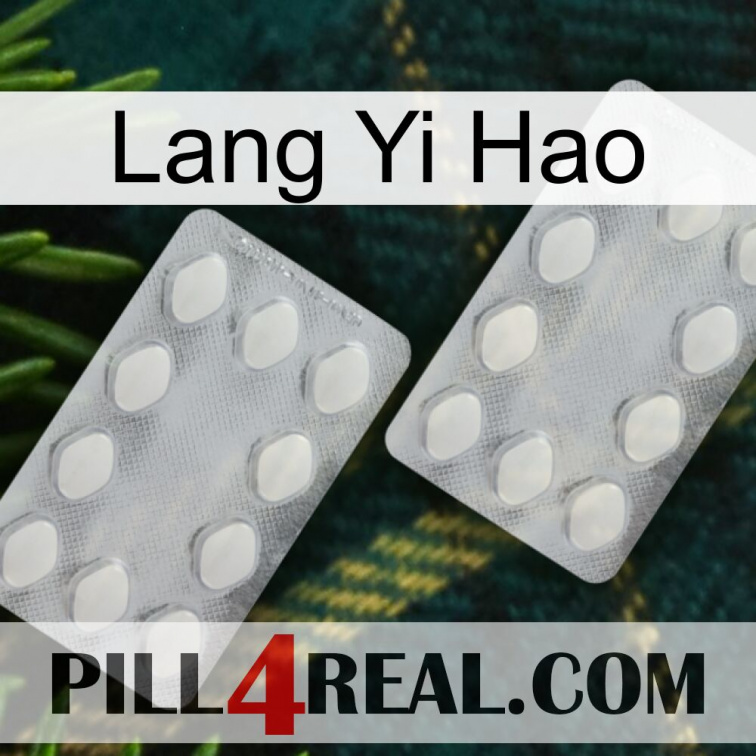 Lang Yi Hao 17